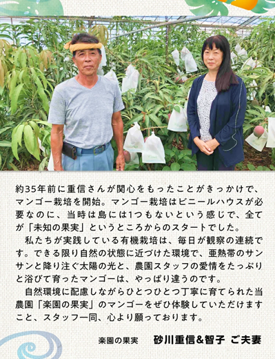 マンゴー農家自慢の一品「マンゴーのプリザーブ2個セット」