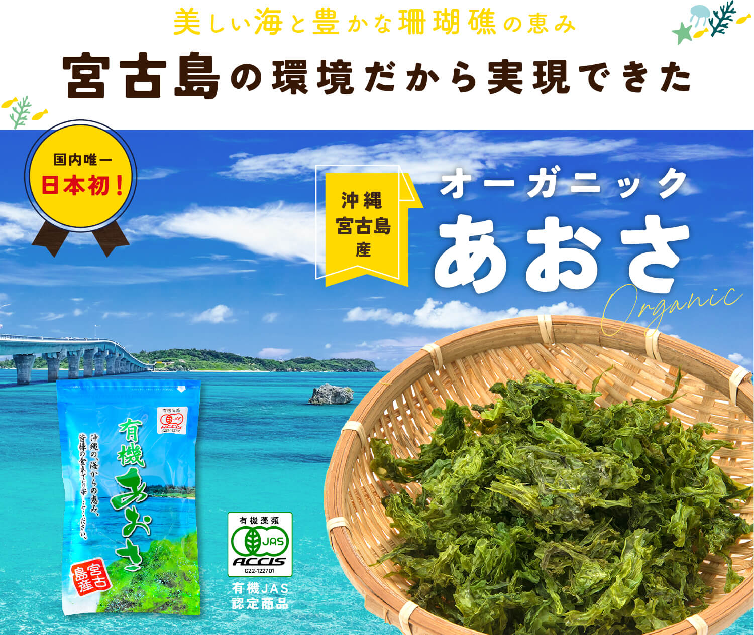 宮古島の漁師の味セット