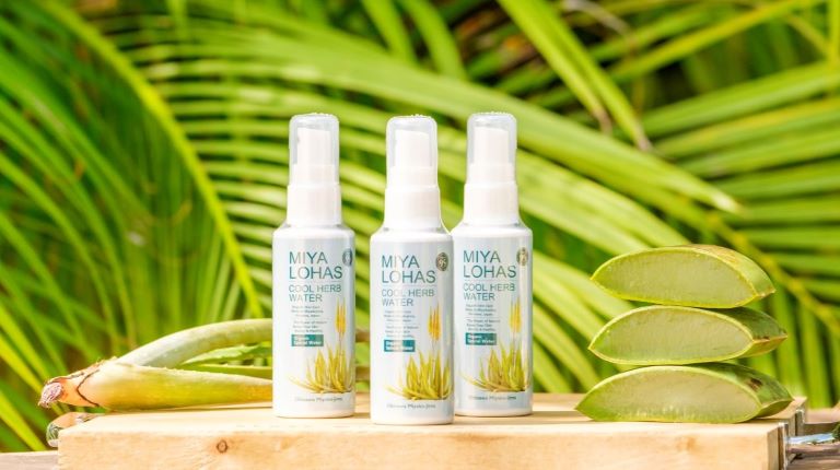 オーガニックアロエ「COOL HERB WATER＆和漢シャンプー」