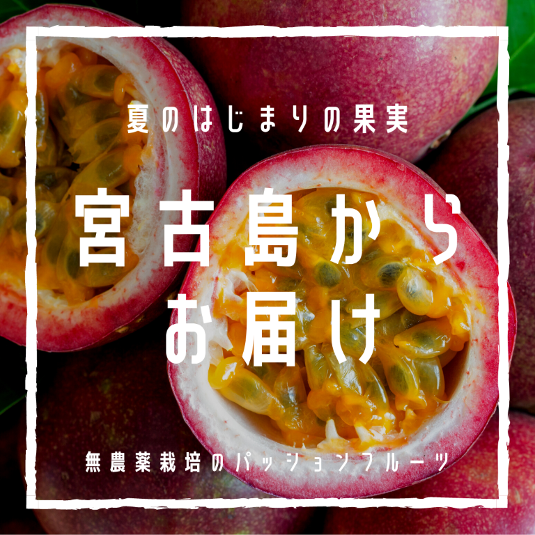 《期間限定》夏始まりの果実 パッションフルーツ2㎏