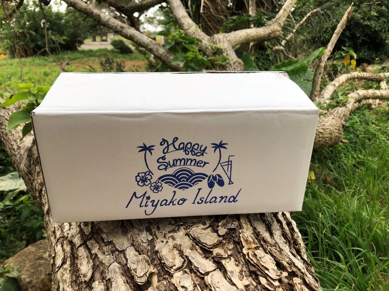 《期間限定》夏始まりの果実 パッションフルーツ2㎏