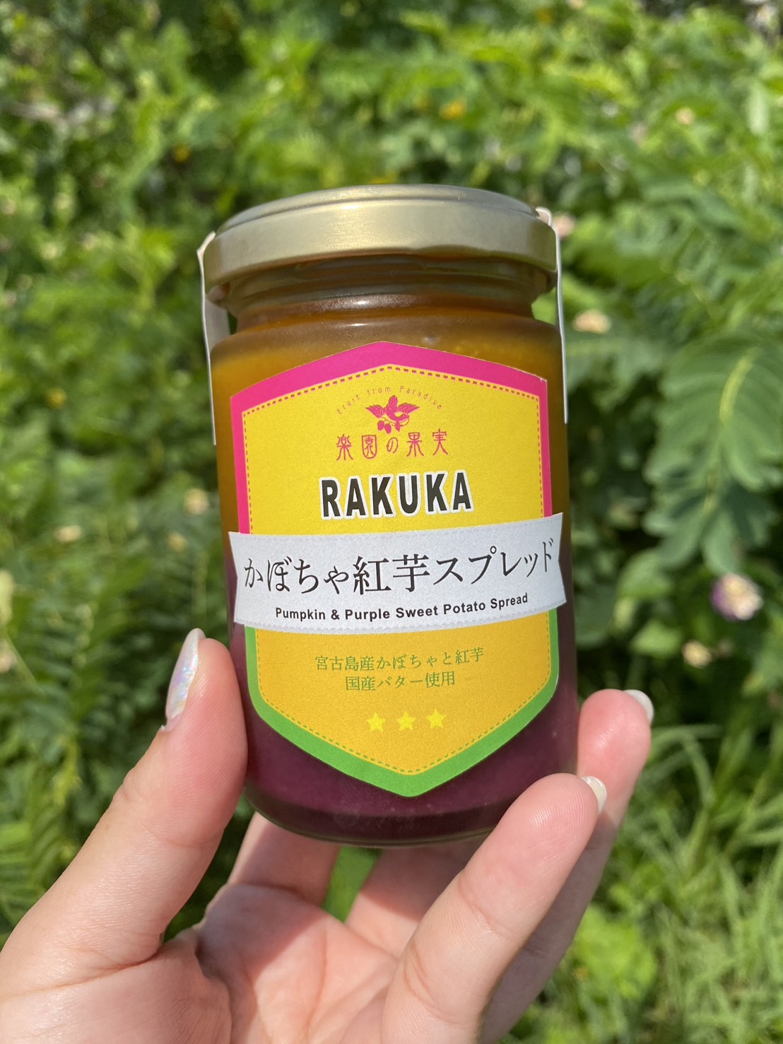 南国果実のお菓子セット
