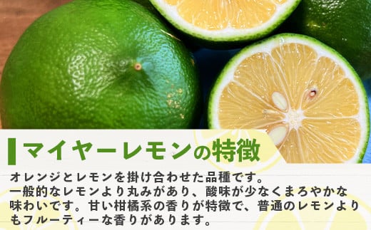 白いチーズテリーヌ（宮古島産マイヤーレモン）