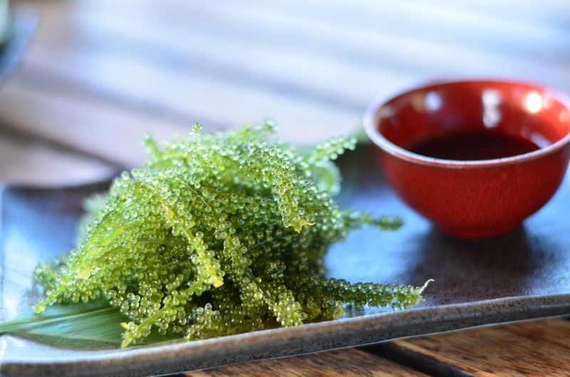 新垣さんの沖縄の海藻「海ぶどう500g」