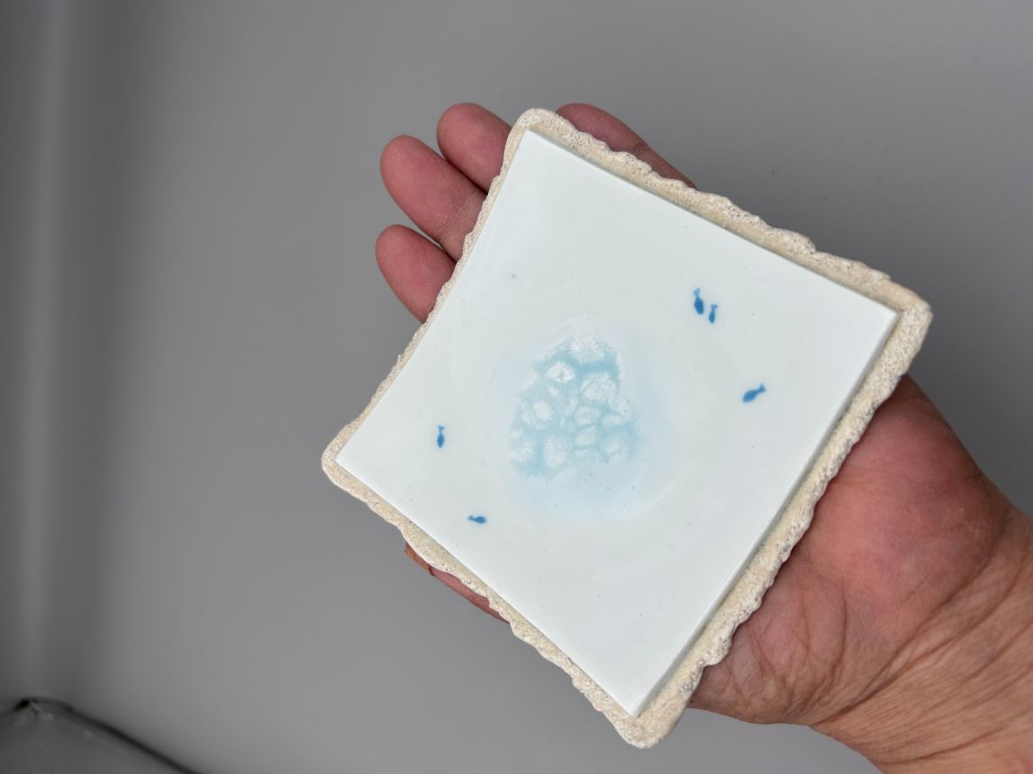 沖縄の海を、器に｜さんご焼き 小皿 2枚セット