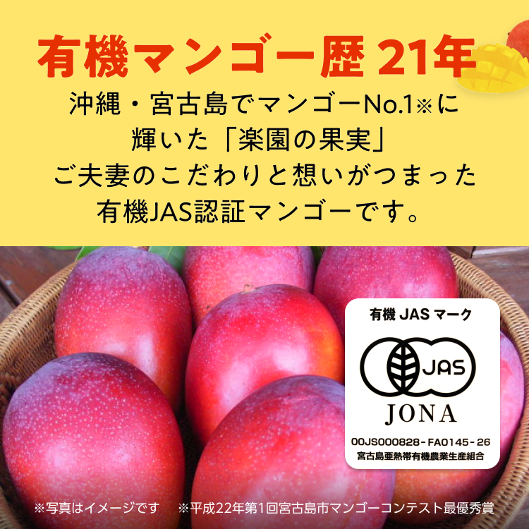 《季節限定掲載》有機JAS認定　希少種 台農マンゴー（アーウィン2玉＆台農１玉）