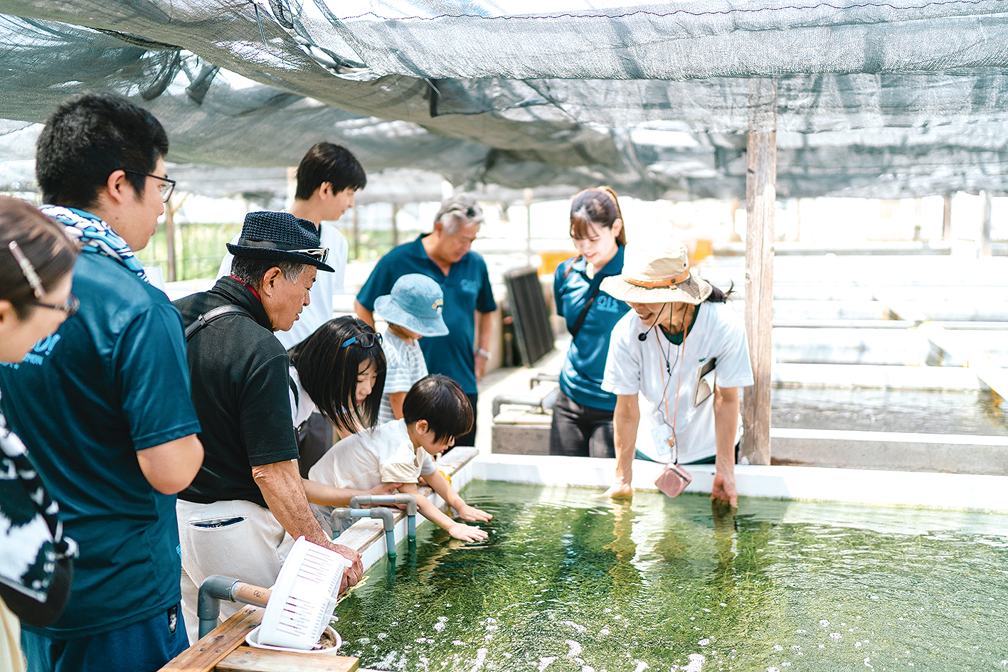 「ふくらむぷちぷち海ぶどう」につけると美味しいポン酢セット