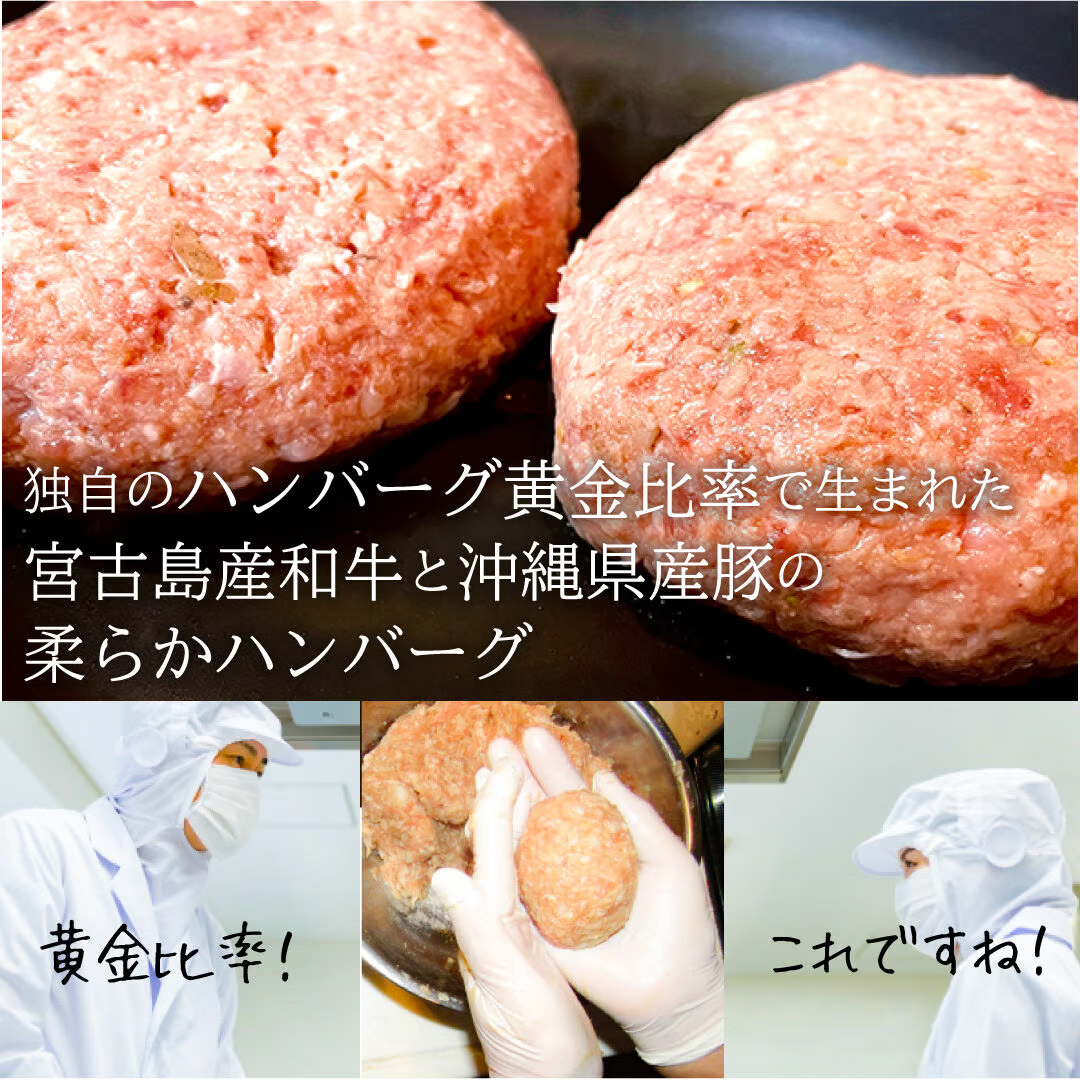 沖縄県産 和牛と豚肉の柔らかハンバーグ10枚